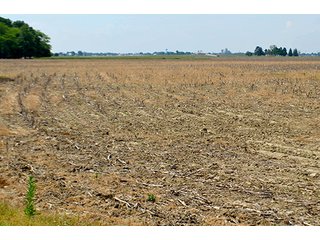 Property photo 24 - FARM & LAND AUCTION - 125+/- ACRES OFFERED IN 5 TRACTS IN EAST ALLEN COUNTY, INDIANA